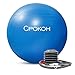 CPOKOH Exercise Ball Anti-Burst Non-Slip Extra Thick Massage Fitness Ball for Yoga,Pilates,Workout, Balance, Therapy, Desk Chair with Foot Pump (Gray, 65cm) (Blue, 75cm)