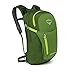 Osprey Daylite Plus Daypack (Prior Season)