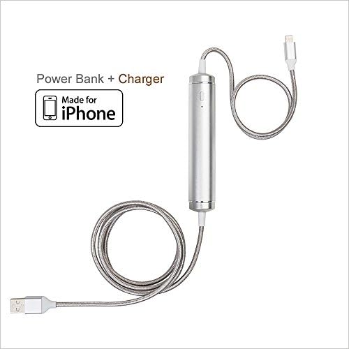 EXO iPhone &amp; iPod Power Cable (Platinum) - MFI Certified Lightning Sync Cable 2600mAh Power Bank Battery for iPhone5/6/7/8/X, iPhone Plus, iPods, Length 4' &amp; Lithium Ion Battery, Warranty 1 yr, 4.5oz