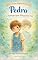 Livro Pedro e o Amigo que Ningém Via: Pedro e seus Mundos Invisíveis