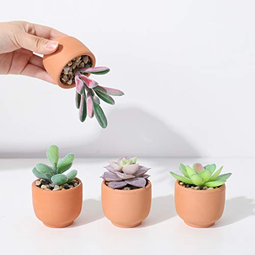 Veryhome Faux Succulent Plants Artificial Potted Small Fake Plants