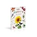 Flowers (Nature Explorers)