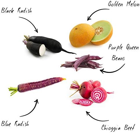 Cultivea – Mini Kit Huerto de Verduras Insólitas – 100% Semillas ...