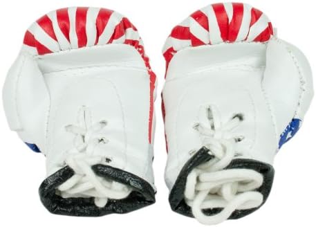 Starlite USA (United States) American Flag Miniature Boxing Decoration Gloves