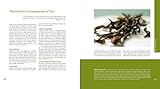 Image de Tea: History, Terroirs, Varieties