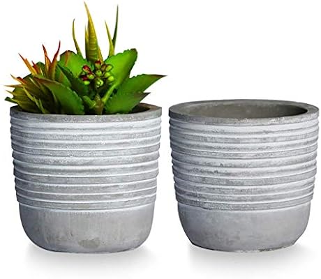 Sqowl 4inch Modern Round Cement Succulent Planter Pot Small Concrete Flower Pot Herb Planter Cactus Plant Pot With Drainage Hole Gray And White Indoor Outdoor Set Of 2 Buy Online At Best
