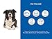 The Green Pet Shop Chillz Gel Mat, Extra Large - Pressure-Activated Cooling Pad for Pets Over 50 lbs - Non-Toxic, No Water or Refrigeration Needed - Ideal for Home, Travel & Crates
