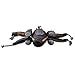 Star Wars Poe's X-Wing Fighter Rope Dog Toy, Medium