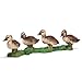 Schleich Duckling Toy Figure