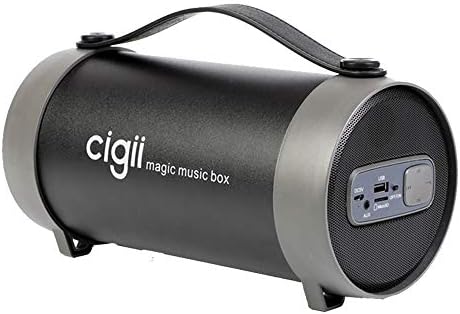 cigii wireless speaker price
