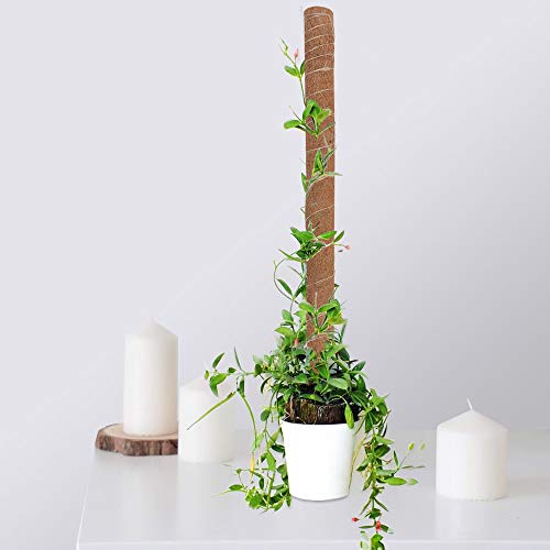 image for GROWNEER 36 Inches Coir Totem Pole with 15 Pcs Plant Labels, Coir Moss