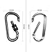 OUTXE Aluminum Carabiner D Shape Buckle Pack, Keychain Clip, Spring Snap Key Chain Clip Hook Screw Gate Buckle,8+2 pcs