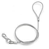 Wellbro Steel Wire Chew-Proof Dog Leash, Heavy Duty and Extra Durable, Best Training Lead for Medium Large Dogs, 4ft(0.6x120cm, White)