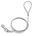 Wellbro Steel Wire Chew-Proof Dog Leash, Heavy Duty and Extra Durable, Best Training Lead for Medium Large Dogs, 4ft(0.6x120cm, White)