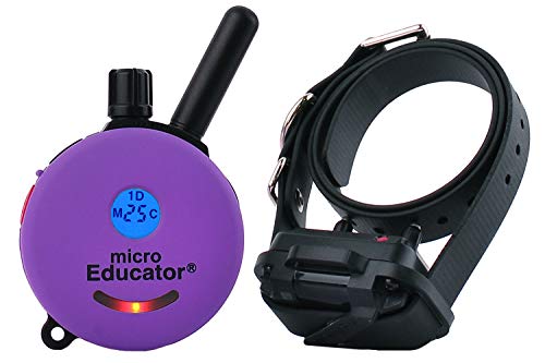 Educator Small Dog Breeds ME-300 Micro 1/3 Mile E-Collar Remote Dog Training Collar with Vibration, Tapping Sensation & Pavlovian Stimulation, Purple