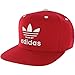 Adidas Skateboarding Men's The Thrasher Snapback