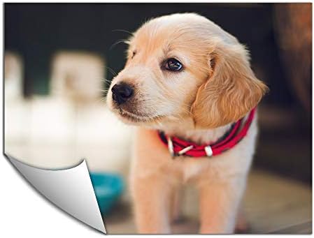  Customized Small Wall Mural with Your Pet Photos, Removable Self-Adhesive Wallpaper for Living Room Bedroom - 24x32 inches