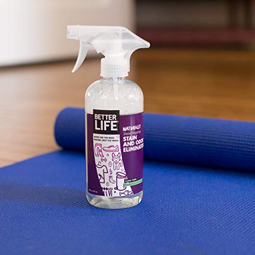 Better Life Stain & Odor Eliminator, Eucalyptus & Lemongrass, 16 Fluid