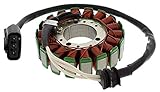 New DB Electrical AYA4048 Stator Coil for 998cc 12V Yamaha YZF-R1 02 03 04 05 06 07 08 2002 2003 2004 2005 2006 2007 2008 COD.13014 5PW-81410-00-00 5PW-81410-01-00
