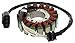 New DB Electrical AYA4048 Stator Coil for 998cc 12V Yamaha YZF-R1 02 03 04 05 06 07 08 2002 2003 2004 2005 2006 2007 2008 COD.13014 5PW-81410-00-00 5PW-81410-01-00