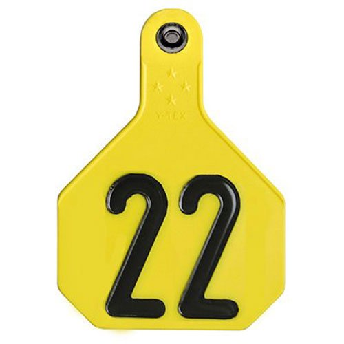 Y-TEX CORPORATION Large Yellow Tag (25 Pack)
