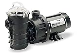 Pentair Dynamo 1.5 Horsepower Above Ground Pool Pump - 340210