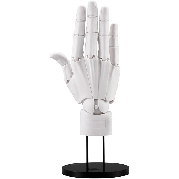 Amazon.com: Kotobukiya ARTIST SUPPORT ITEM 1/1 Scale Hand Model R