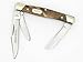 Buck 373 Trio 3 Blade ** WOOD or BONE HANDLE CHOICES ** Medium Stockman Knife