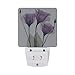 2 Pack Plug-in LED Night Light Lamp with Light Sensor, Lavender Hope Flowers Daylight White for Bedroom, Bathroom, Hallway, Stairways, 0.5W, Purple