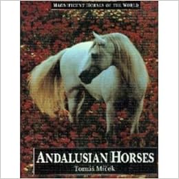 Andalusian Horses Magnificent Horses Of The World Hans