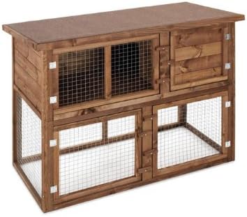 reptiles for sale online