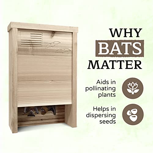 Made in USA PremiumGrade Red Cedar Bat House, SingleChamber Bat Box