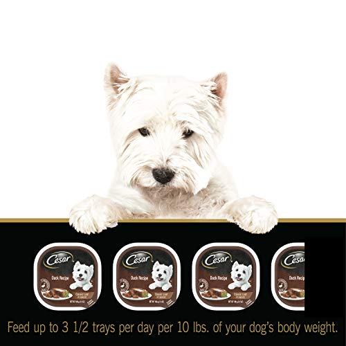 Cesar Classics Poultry Dog Food Variety Pack - Image 11