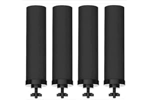 FACHIOO 2-9BB Water Filters, Black 2-9BB Purification Elements Certified by NSF/ANSI 42, for Berkey 2-9BB Black Filters Replacement Compatible with Berkey Gravity Filtration System (Pack of 4)