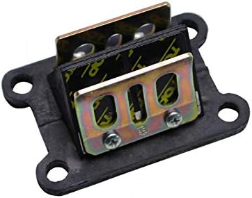 CAJA DE LAMINAS MOTO 50 TOP PERF CARBONO PARA MINARELLI 50 AM6: Amazon.es: Coche y moto