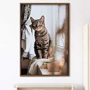 signwin Framed Canvas Wall Art Cat Animals Cat...