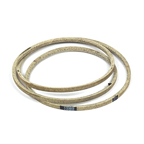 Briggs and Stratton 1723025SM V-Belt, 93.1