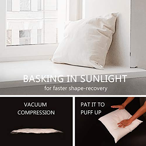 18x18 pillow insert down alternative