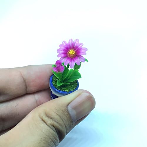 bellis muñecas amazon