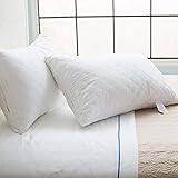 Sable Pillows for Sleeping, 2 Pack Goose Down Alternative Quilted Bed Pillow, FDA Registered, Super Soft Plush Fiber Fill, Adjustable Loft, Relief for Neck Pain, Hypoallergenic, Queen Size