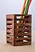 Rusticity Indian Sheesham Decorative Mesh Design Wooden Pen, Pencil Holder/Handmade Traditional Storage Organizer for Desk, School Supplies, Office Table, Home Gift for Birthday 2.75 x 2.75 x 4.25 in