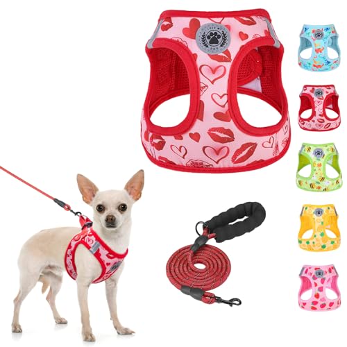 BEAUTYZOO Step Dog Harness Leash Set