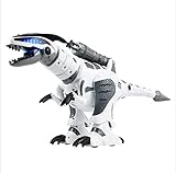 Toch Large RC Dinosaur Robot Toy, Intelligent Combat Fighting Walk Sing Dance for Kids Gift Present