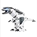 Toch Large RC Dinosaur Robot Toy, Intelligent Combat Fighting Walk Sing Dance for Kids Gift Present