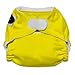 Imagine Baby Products Newborn Stay Dry All-in-One Hook and Loop Cloth Diaper, Marigold