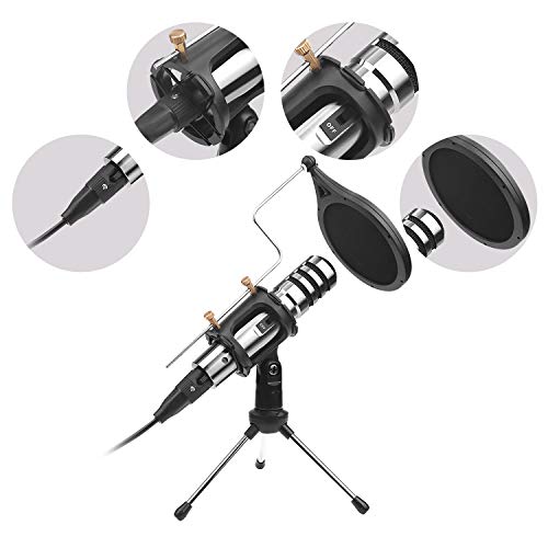 3 DricRoda+Condenser+Microphone+Recording+Conference