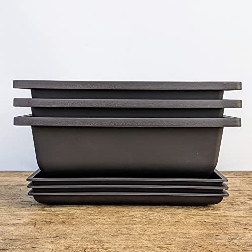 Bonsai Outlet Training Pots with Humidity Trays Built in Mesh, Brown