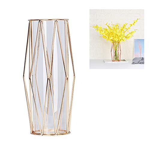 Amazon Com Qcutep Glass Vases With Metal Frame Geometric Frame