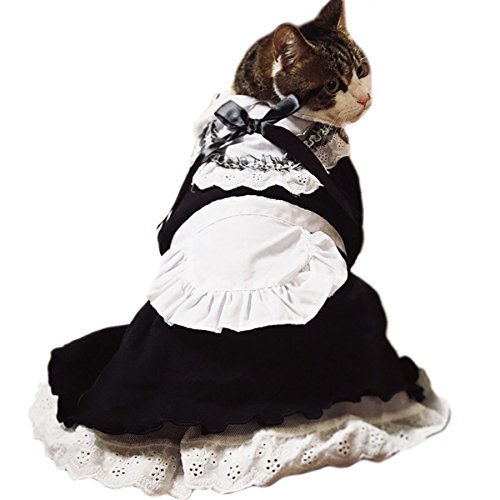 Alfie Pet by Petoga Couture - Teresa the French Maid for Party Halloween Special Events Costume