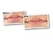 O'Keeffe's Unscented Lip Repair Lip Balm for Dry, Cracked Lips, Stick, (Pack of 2), clear (K0700137)